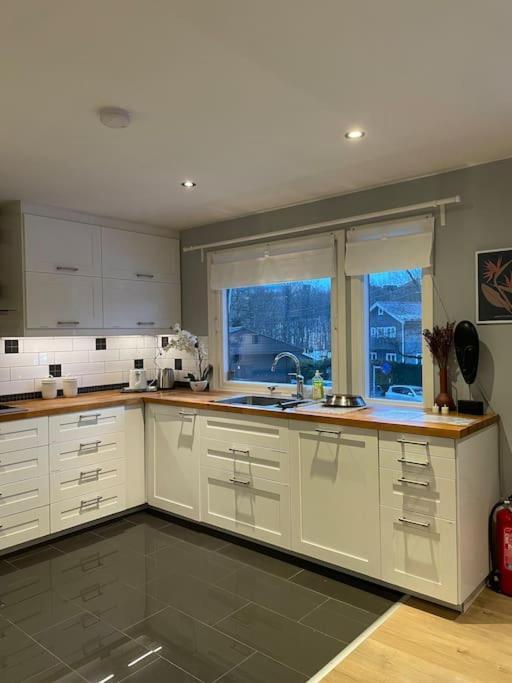 Platinum House - Centrally Located With Facilities Feriehus Oslo